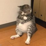 니트 안에는 그냥 <b>셔츠</b> 입어도 댐?