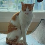 [아스트로] 따나 왜케 끼융이랑 <b>이미지</b> 비슷한거같짘ㅋㅋ