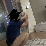 [드루와] 울아빠 댕댕이 엄청 예뻐하심ㅋㅋㅋㅋㅋ