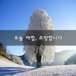 [꼭봐주세요] 오늘 아침, 소망합니다~