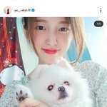 [댓글부탁해] <b>필터</b> 좀 찾아줘ㅜ