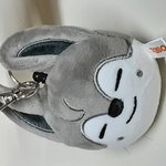 [스키즈] <b>울프</b>찬 왔다!