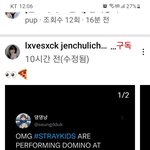 [스키즈] 여러분 <b>도미노</b> 확정인가봐여