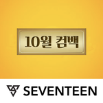 [세븐틴] 다들 <b>한</b>번씩 <b>해</b>