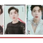 몬<b>베베</b>들아