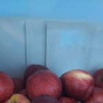 [댓글부탁해] 나 돈 얼마줄수 있어??