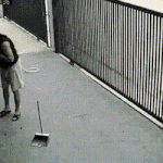 치매초기.<b>gif</b>