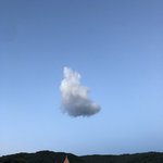 쿠션 추반좀 조카중요