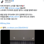 [스키즈] 이거 질문 어케 하는지 아는 <b>테이</b>?