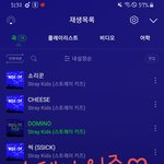 [스키즈] 나도인증 근데 <b>리스트</b> 이대로 해도돼?