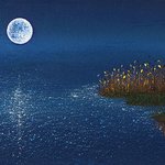 [댓글부탁해] 너네 시험볼 때 이러면 반드시 망한다 하는 징크스...