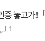 [세븐틴] 그 나 타팬인데
