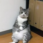 싸<b>패들</b>도 사랑이란 감정은 느끼지 않음?