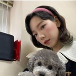 [댓글부탁해] 연예인들 <b>촬영장</b>에 강아지 데려가는거