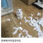 몬엑 내년 5월까지 <b>스케줄</b> 다정해져있다는데