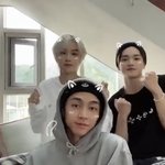 [이태용] 고양이<b>송</b> 진짜 귀여워
