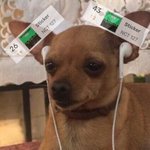 [NCT칠프] 애들이 <b>상</b>을 세개받을동안