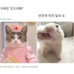 거식증 고쳐본 사람..??
