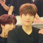 [스키즈] <b>바보라</b>차 실트 구경하다가 발견한