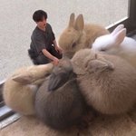 [방탄소년단] 오늘 <b>세계</b> 토끼의 날이래