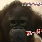 [댓글부탁해] 나 학교에서 자면서 <b>트름</b>했는데