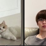 [NCT칠프] 깜찍<b>큐트</b>