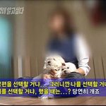 [댓글부탁해] 아니 <b>쌍화탕</b> 원래 매워?