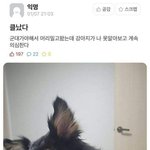 <b>Infj</b> 궁금한 거 물어봐줘