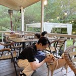[모두드루와] 펜타곤 <b>키노</b> 진짜 댕댕이 좋아하나봄