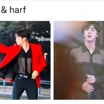 [방탄소년단] <b>양념</b>반 후라이드반,   짬짜면을 좋아한다면