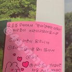 세븐틴팬들아 <b>만세</b>안하는이유 왜이거야?