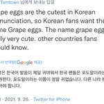 [NCT칠프] <b>포도</b>알에 진심