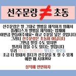 [세븐틴] <b>선주문량</b>이랑 판매량이랑 달라!