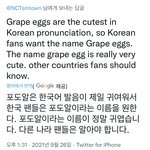 [NCT칠프] <b>포도</b>알에 진심인 즈니