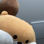 [19] 얘들아 얘 이름 좀 지어줘.