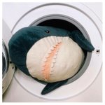 [방탄소년단] 석지나???<b>상어</b> 만낫어????