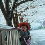 <b>보쌈</b>해가고 싶다