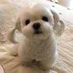 [댓글부탁해] <b>선</b>바카페에 이거 쓰면 나 강퇴당하려나