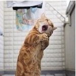 [군대] 유! <b>유아</b>!