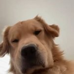가족 상대로 ㄸ먹기 볼 때마다 <b>토</b><b>나옴</b>