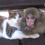 그냥 ㅈ<b>밥들</b>끼리 친하게 좀 지내자