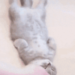 [댓글부탁해] 코수술 뒷트임 동시에 하는거 <b>애바</b>임??