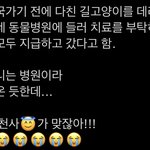 방탄 제이홉 다친 길고양이 <b>치료</b>해줬대