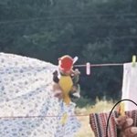 [엔하이픈] 여기 <b>정원</b>이 있는데?