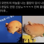 [TXT] 하와이 <b>남자때매</b> 미쳐