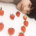 우리 아빠 <b>대선</b> 나간다고 당 만든대;;어떡해