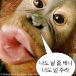 [댓글부탁해] 시장실패의 <b>원인</b>은?