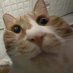 사람 몇 없으니까 댓 잘 달아<b>주네</b>