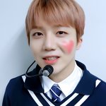 [펜타곤] 울 대롬지