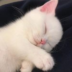 [더보이즈] 이거 <b>완전</b> 최차니